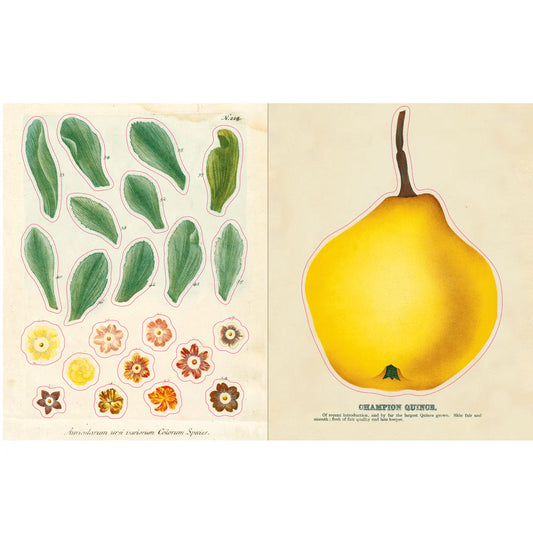 John Derian- Sticker Book