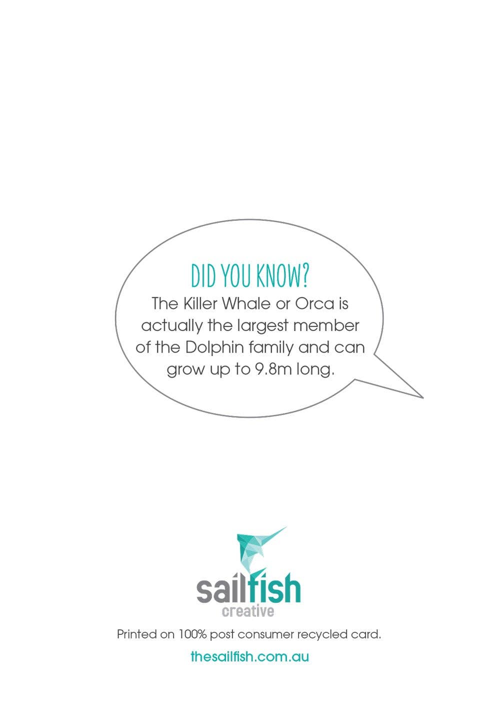 Birthday Card - Killer Whale Orca