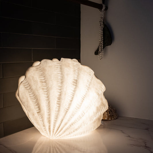 Handcrafted clam shell reef lamp glowing with warm ambient light