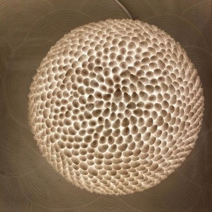 Cone Shell Reef Lamp