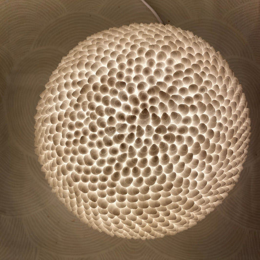 Cone Shell Reef Lamp