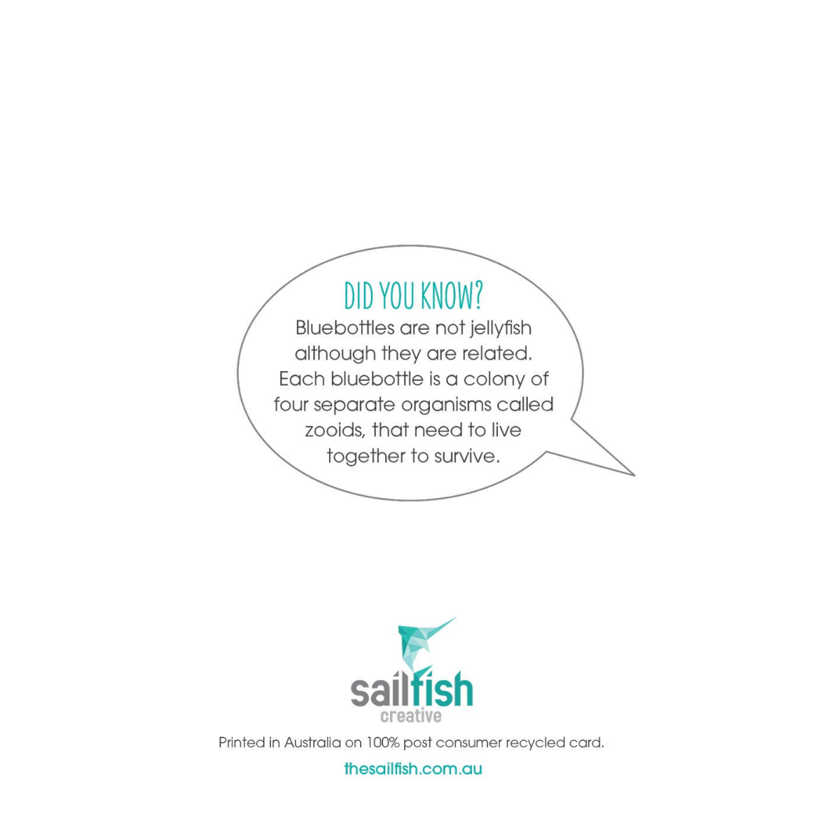 Greeting Card - Bluebottle