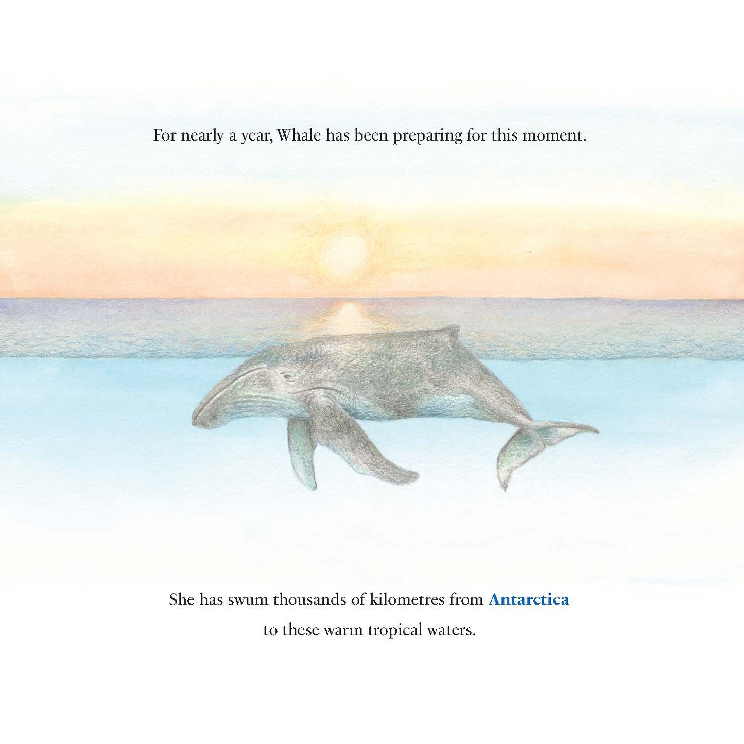 The Voyage of the Whale and Calf