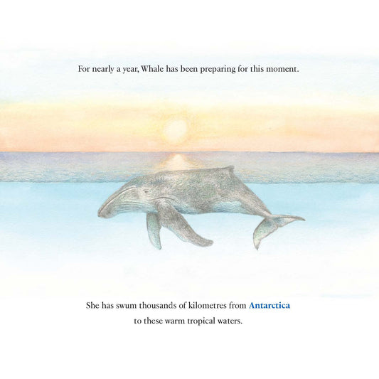 The Voyage of the Whale and Calf