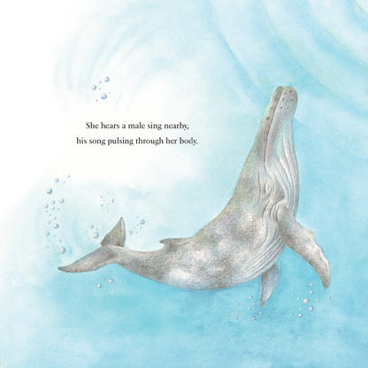 The Voyage of the Whale and Calf