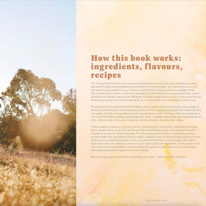 First Nations Food Companion : How to buy, cook, eat and grow Indigenous Australian ingredients
