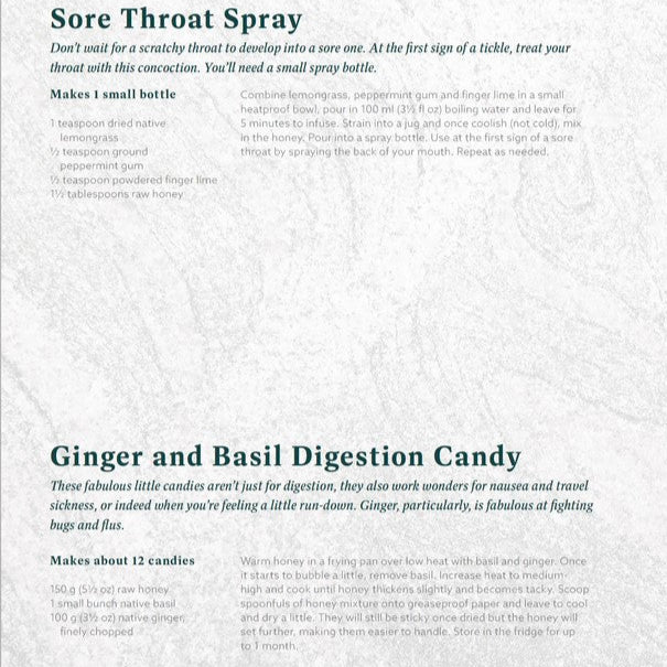 First Nations Food Companion : How to buy, cook, eat and grow Indigenous Australian ingredients