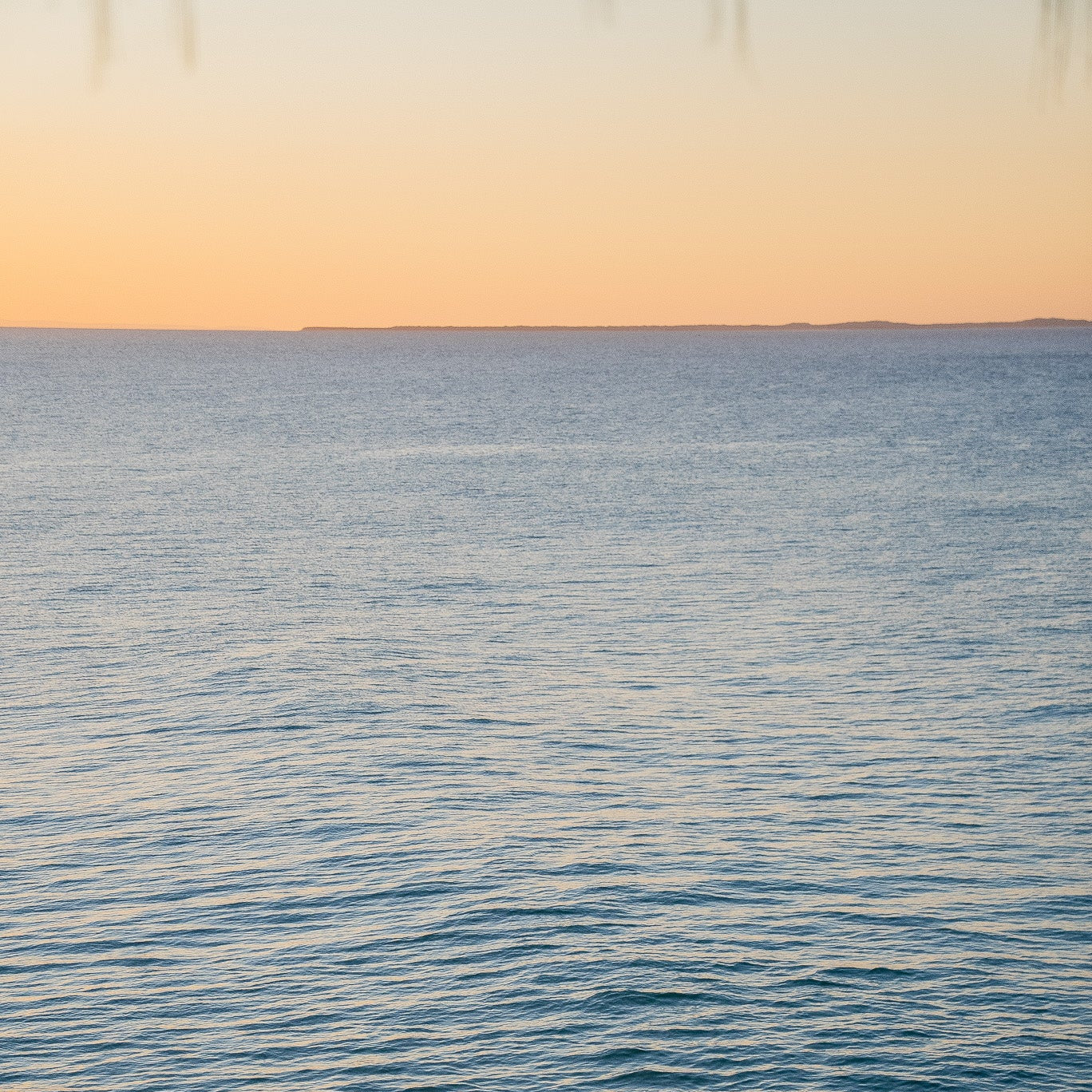 Button up Shirt - Lotus Seaweed Sunset