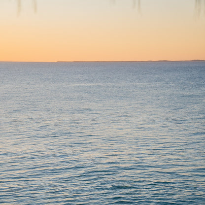 Button up Shirt - Lotus Seaweed Sunset