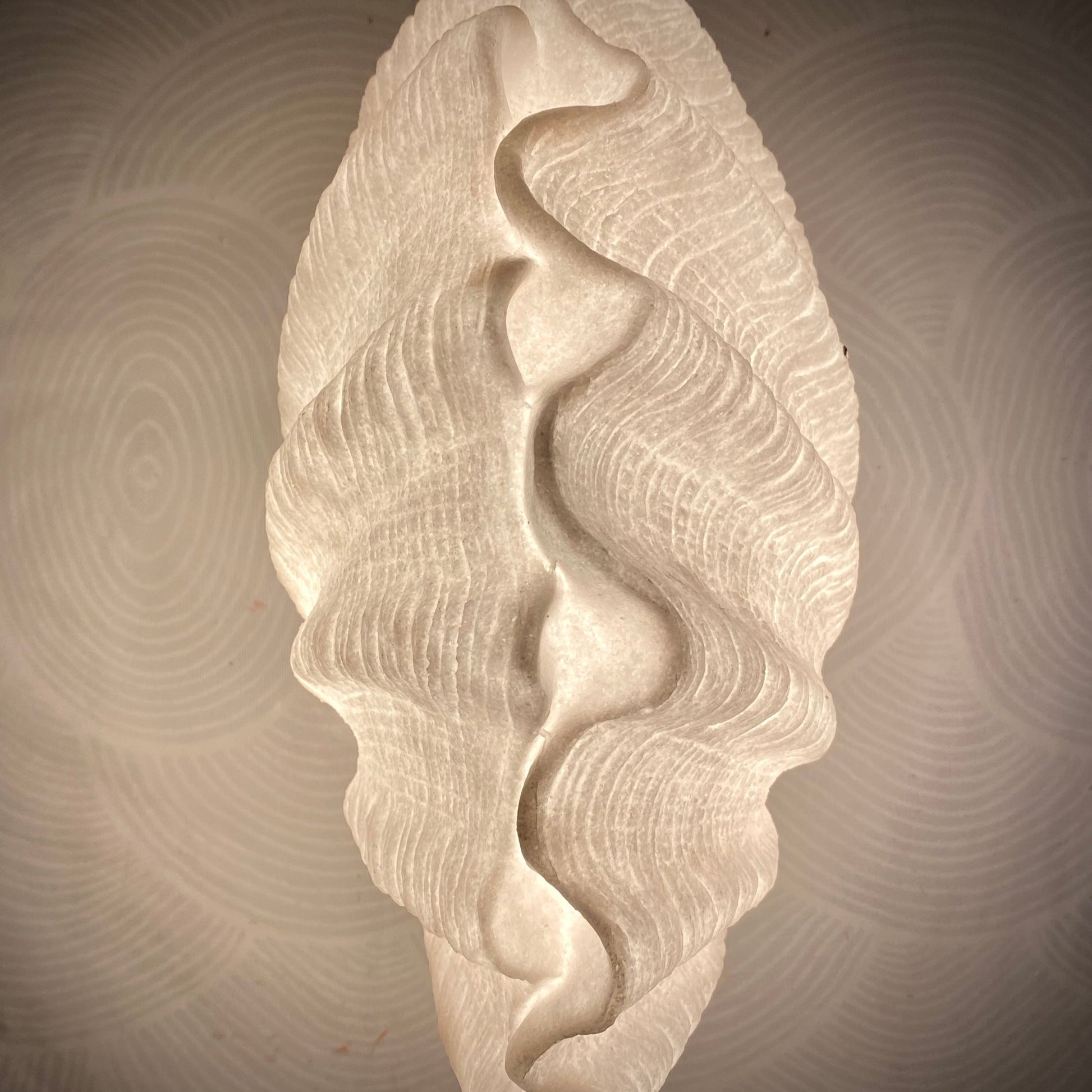 Close-up of fiberglass texture on reef lamp shell design