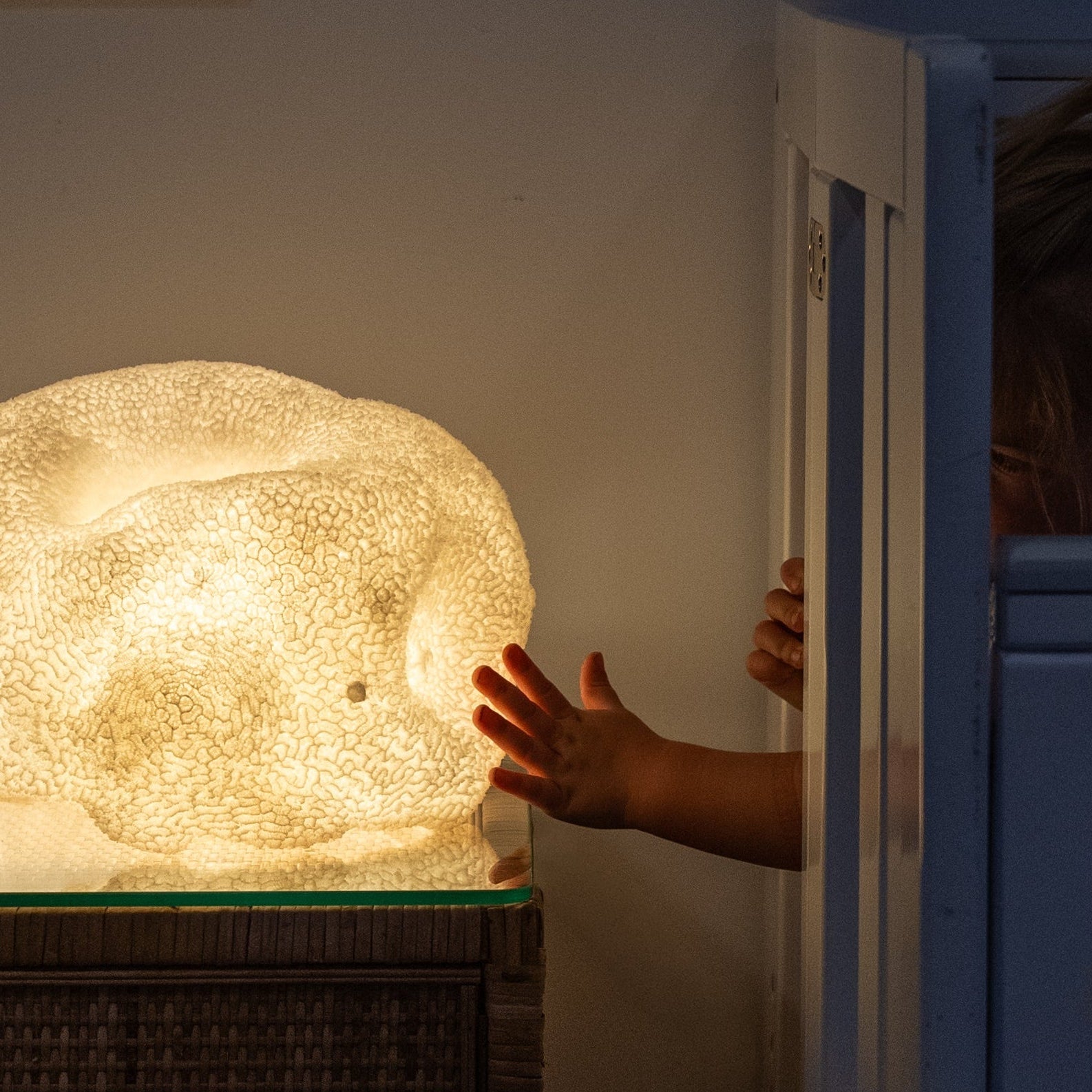 Brain Coral Reef Lamp,stradbroke Island