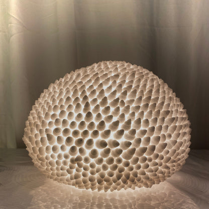 Cone Shell Reef Lamp