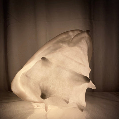 Helmet Shell Reef Lamp – Shell-Shaped Coastal Nightlight | Free Shipping