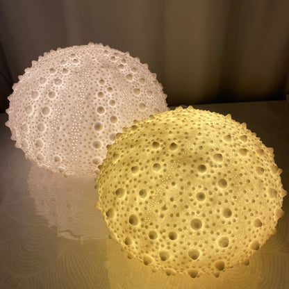 Handcrafted Sea Urchin Reef Lamp – Coastal Sculptural Ambient Light