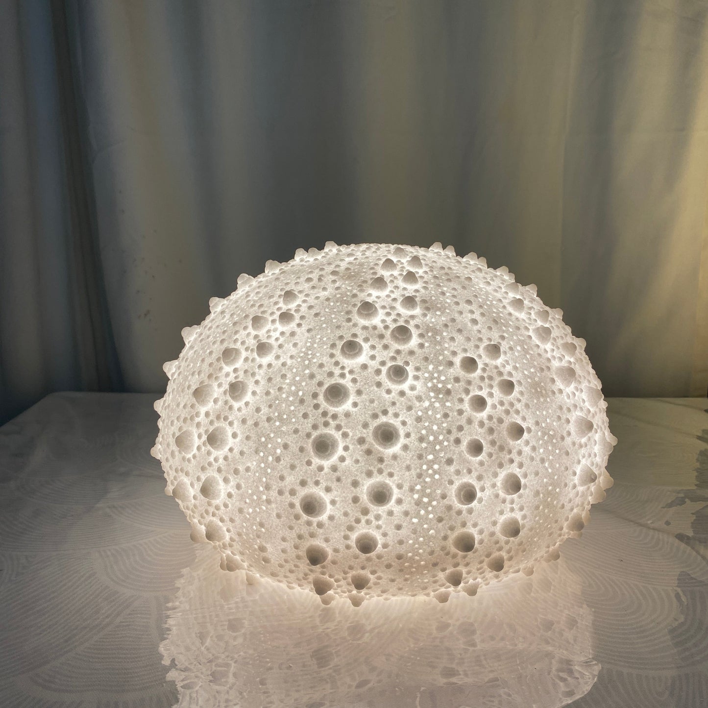 Handcrafted Sea Urchin Reef Lamp – Coastal Sculptural Ambient Light