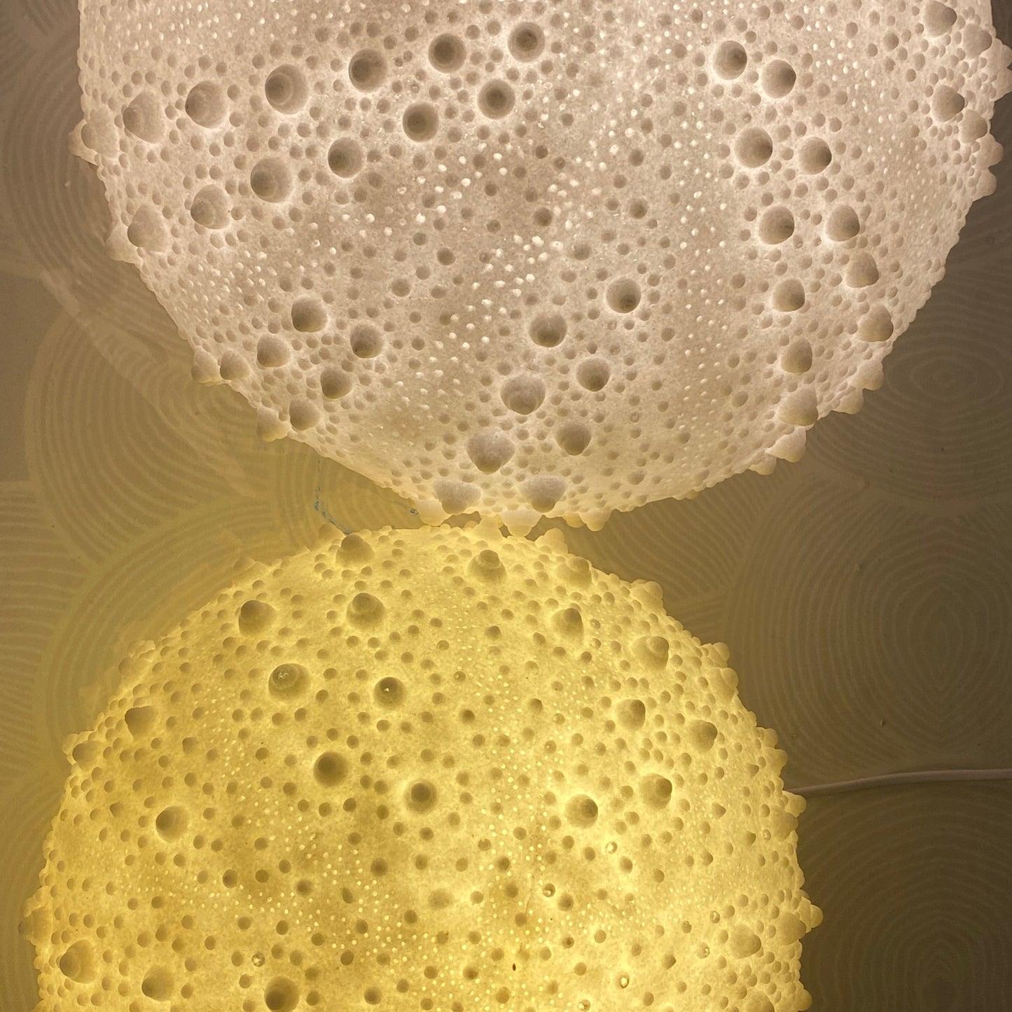 Handcrafted Sea Urchin Reef Lamp – Coastal Sculptural Ambient Light