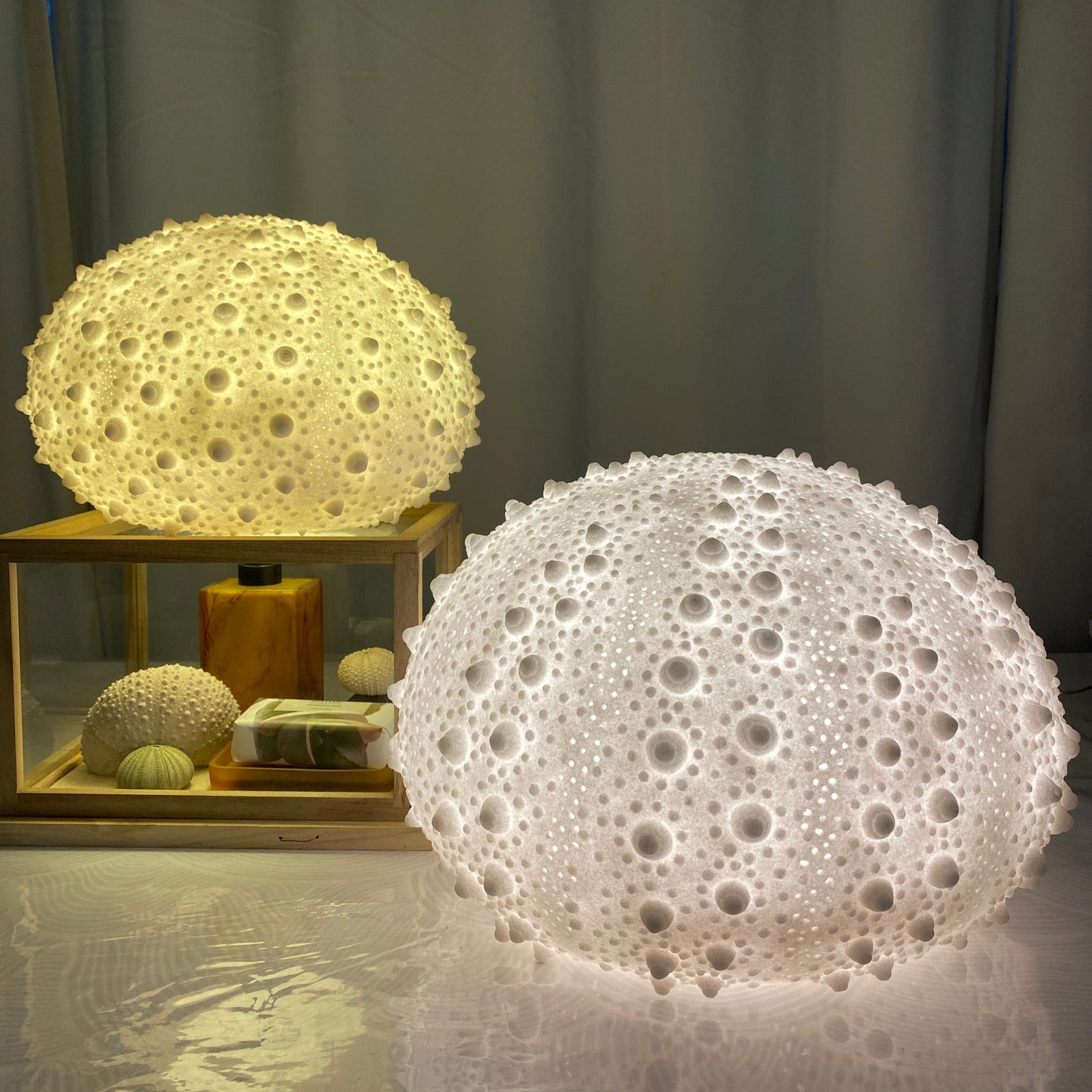 Handcrafted Sea Urchin Reef Lamp – Coastal Sculptural Ambient Light