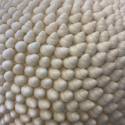 Cone Shell Reef Lamp