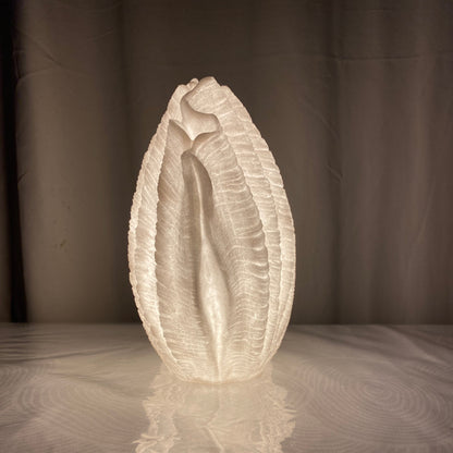 Handcrafted Clam Shell Reef Lamp Large – Coastal Sculptural Ambient Light