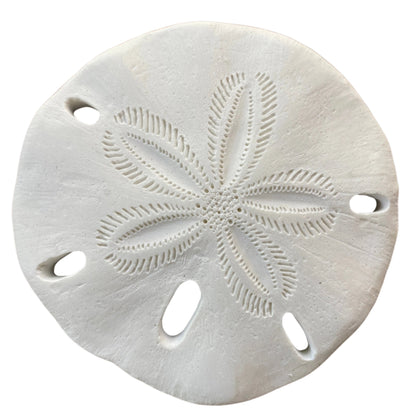 Sand Dollar Wall Plaque