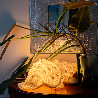 Nightlight with ocean-inspired conch shell shape