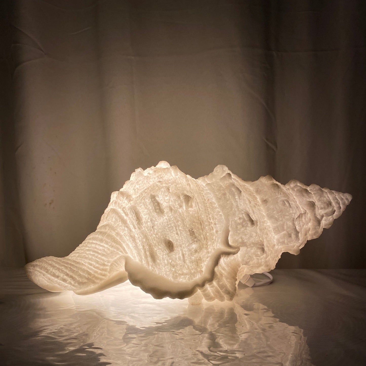 Soft light from Conch Shell lamp in a beach house setting