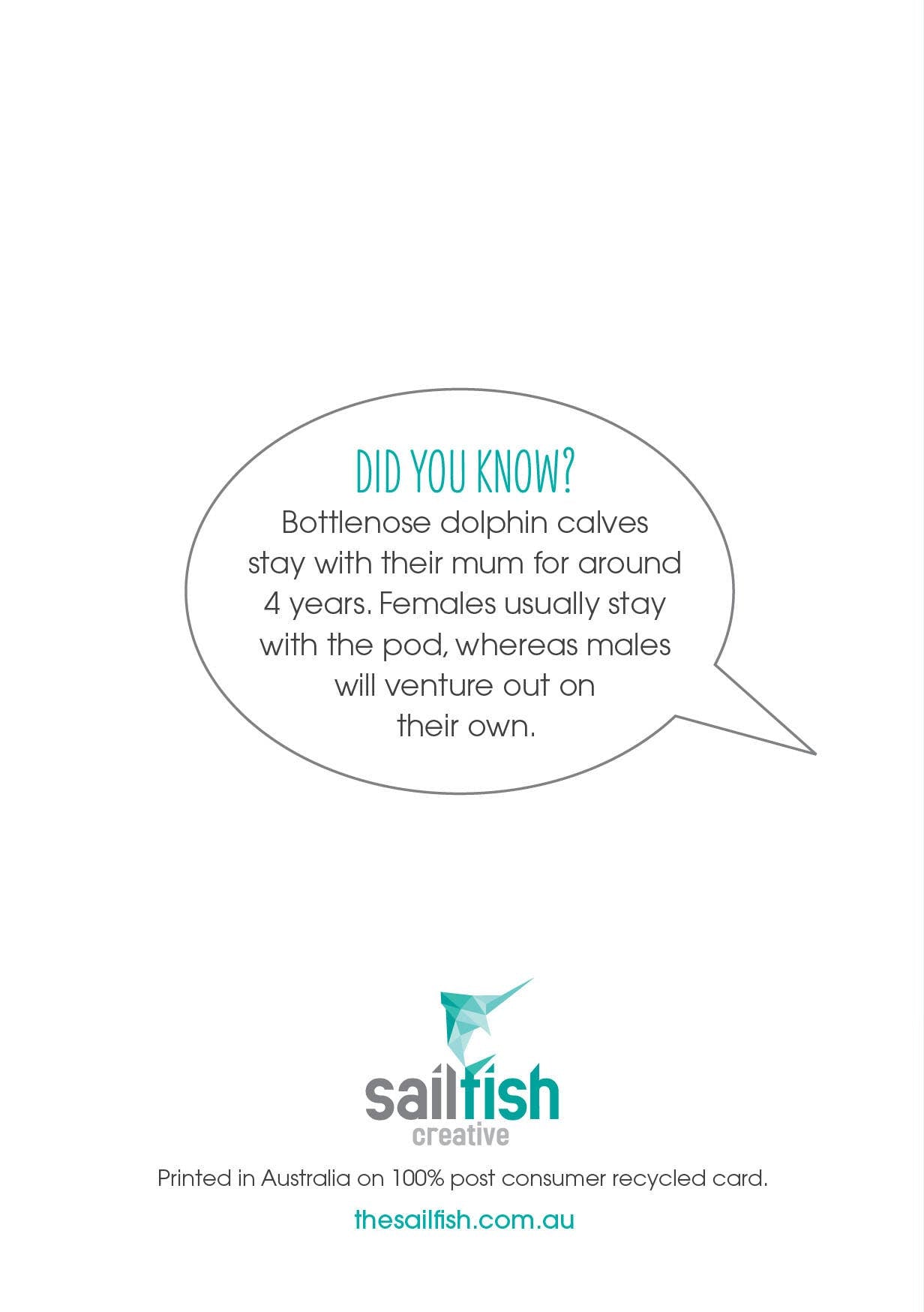 Other Card - Dolphins