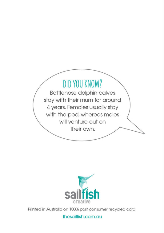 Other Card - Dolphins