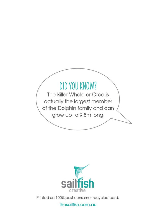 Birthday Card - Killer Whale Orca