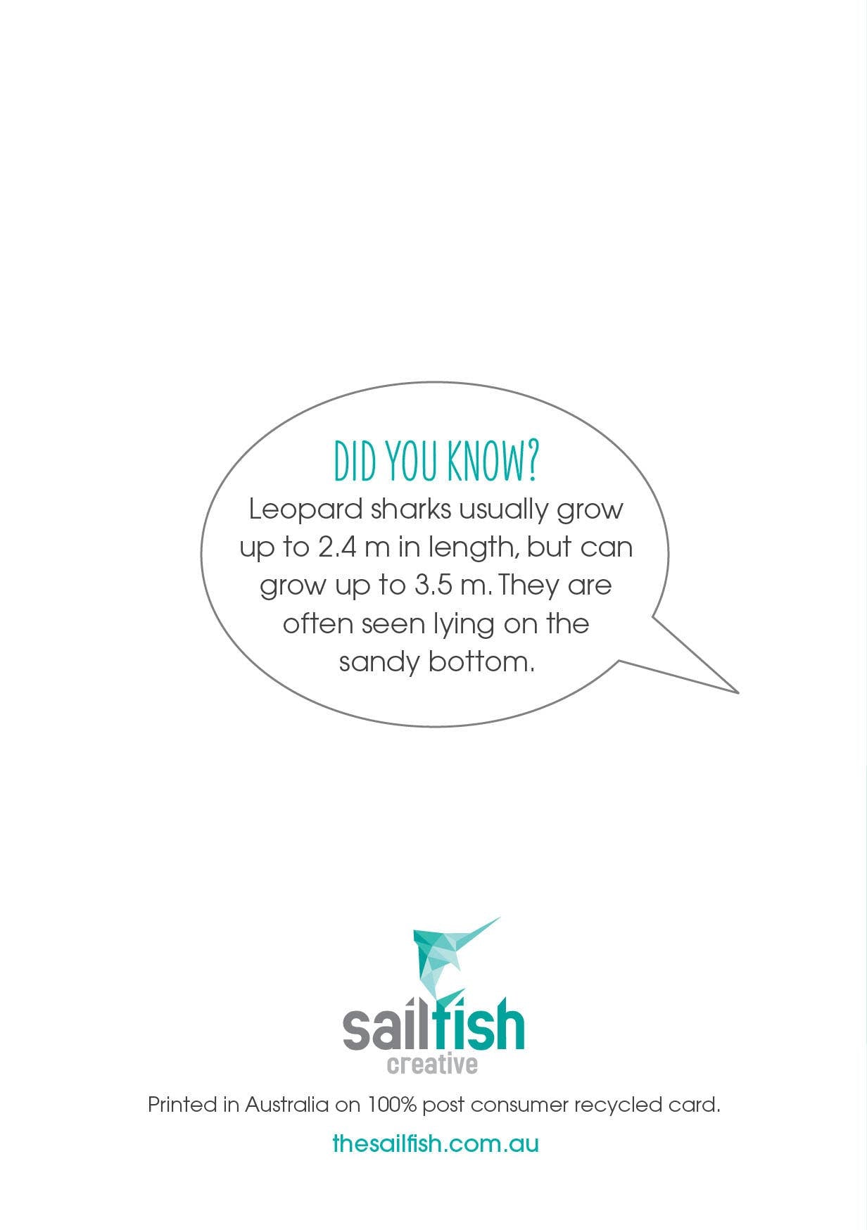 Other Card - Leopard Shark