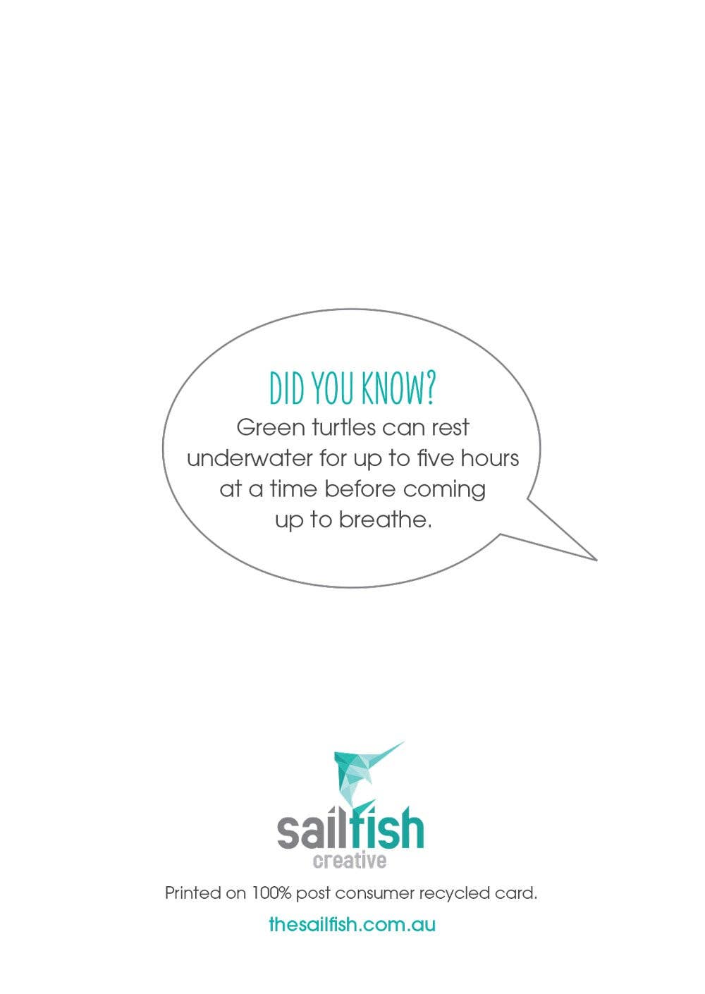 Birthday Card - Green Turtle