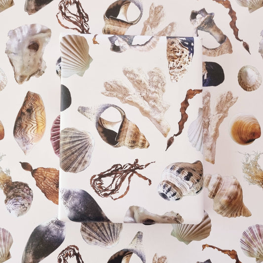 Beach Treasures gift wrapping paper Starfish Studio