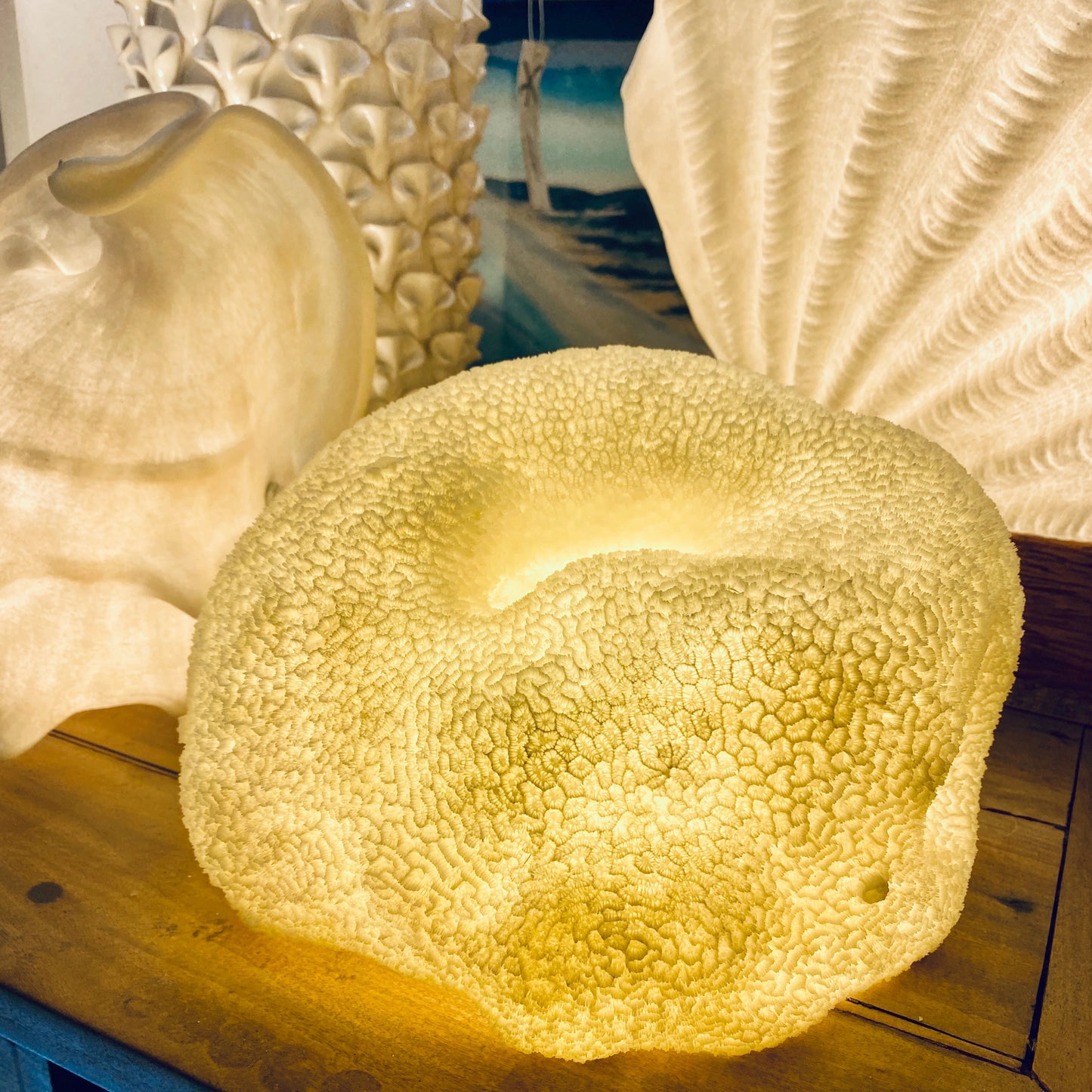 Handcrafted Coral Shell Reef Lamp glowing with warm ambient light
