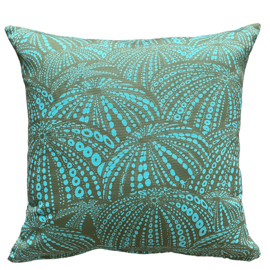 cushion-urchin-light-rockpool