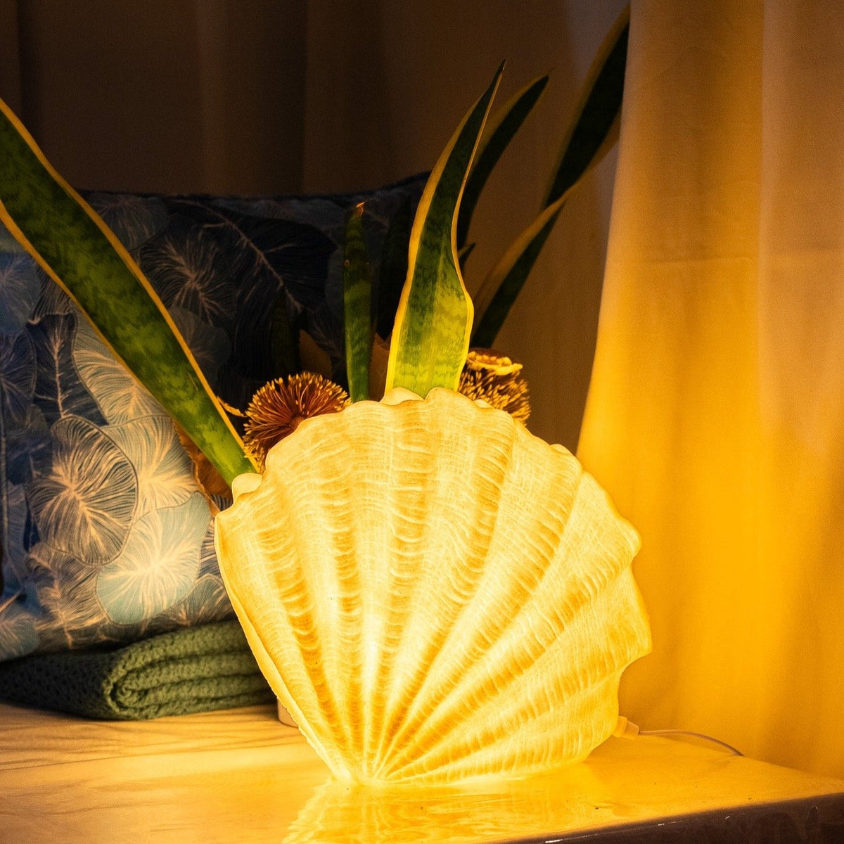 Clam Shell Reef Lamp styled with coastal cushions and indoor plants