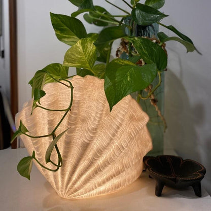 Extra large Clam Shell Reef Lamp styled with trailing plants in a coastal interior