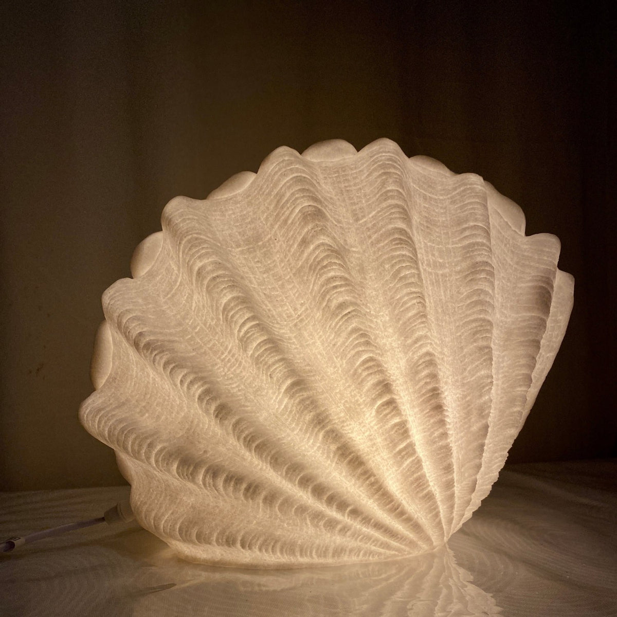 Extra large Clam Shell Reef Lamp glowing with warm ambient light