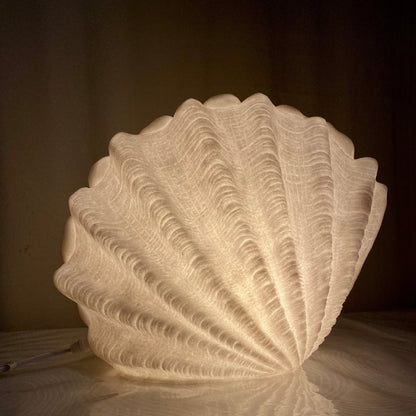 Extra large Clam Shell Reef Lamp glowing with warm ambient light