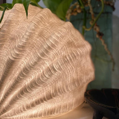 Extra large Clam Shell Reef Lamp glowing beside indoor plants