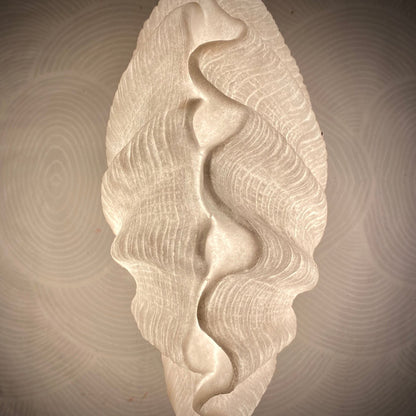 Close-up of the textured surface and sculptural curves of the Clam Shell Reef Lamp