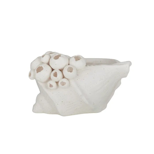 Ceramic Shell and Barnacle Sculpture