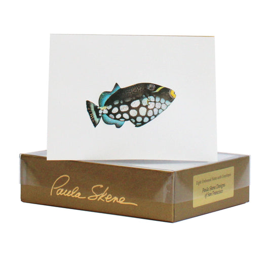 Trigger Fish Blank Card