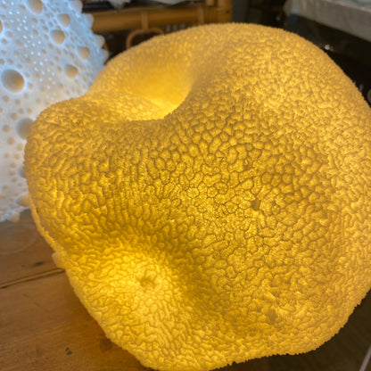 Handcrafted shell reef lamp for coastal home styling