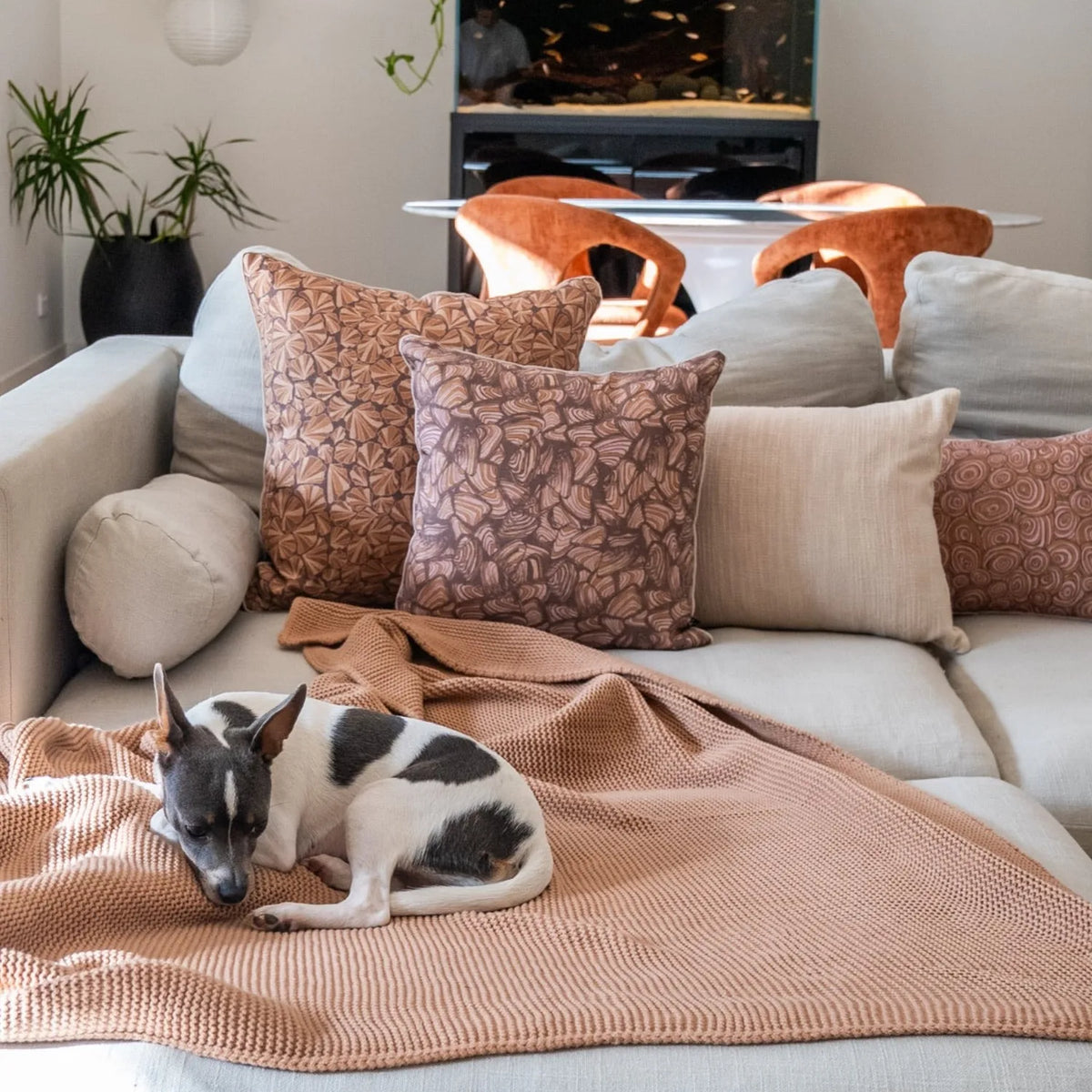 Claytons Pipi linen cushion cover styled on a lounge with coordinating cushions and a dog resting on a knitted throw